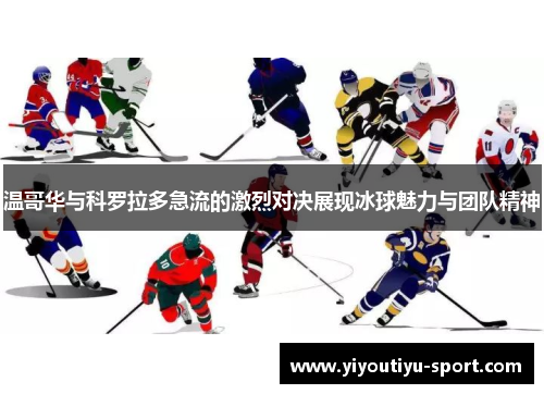 温哥华与科罗拉多急流的激烈对决展现冰球魅力与团队精神